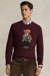 Polo Bear Men Teddy