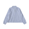 Ralph Lauren Blue-White Striped Lightweight Shirt