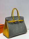 Birkin 25 Niloticus Croc 🐊