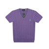 Ralph Lauren V-Neck Cable Knit Short Sleeve Sweater – DS029